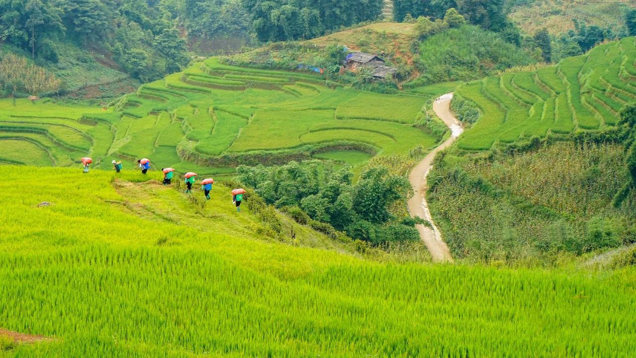 Sapa Fantasea Homestay Kültér fotó