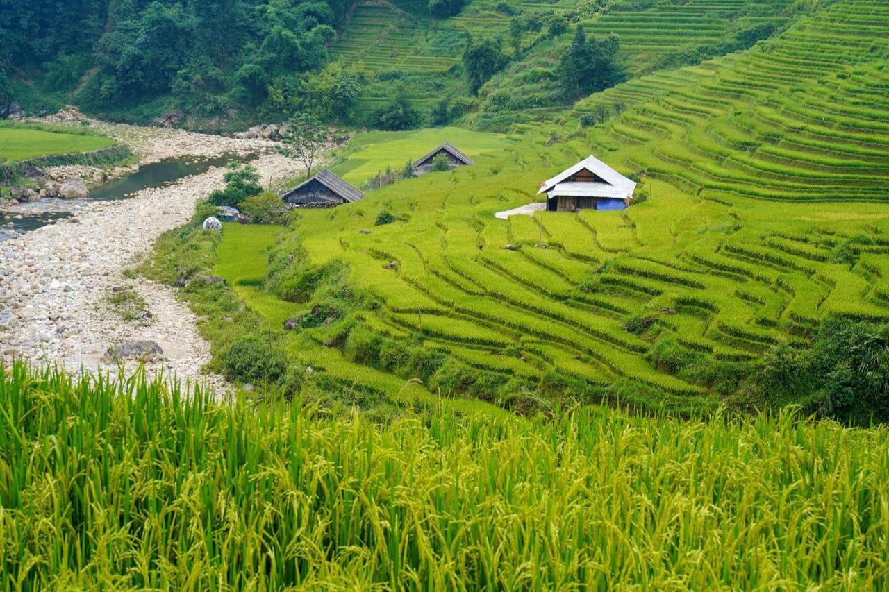 Sapa Fantasea Homestay Kültér fotó