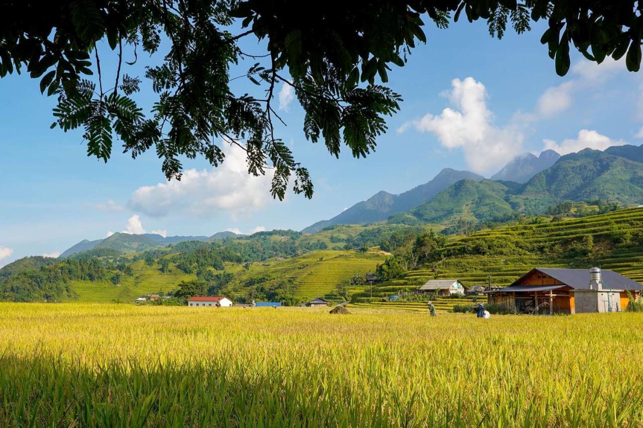 Sapa Fantasea Homestay Kültér fotó